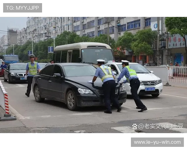 标准列日中路渗透引发广泛关注